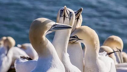 美以伊战事进入第六天，最新动态速览